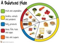 Food needed by the human body