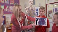 How do our muscles and bones work?